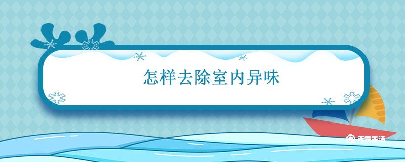 怎样去除室内异味